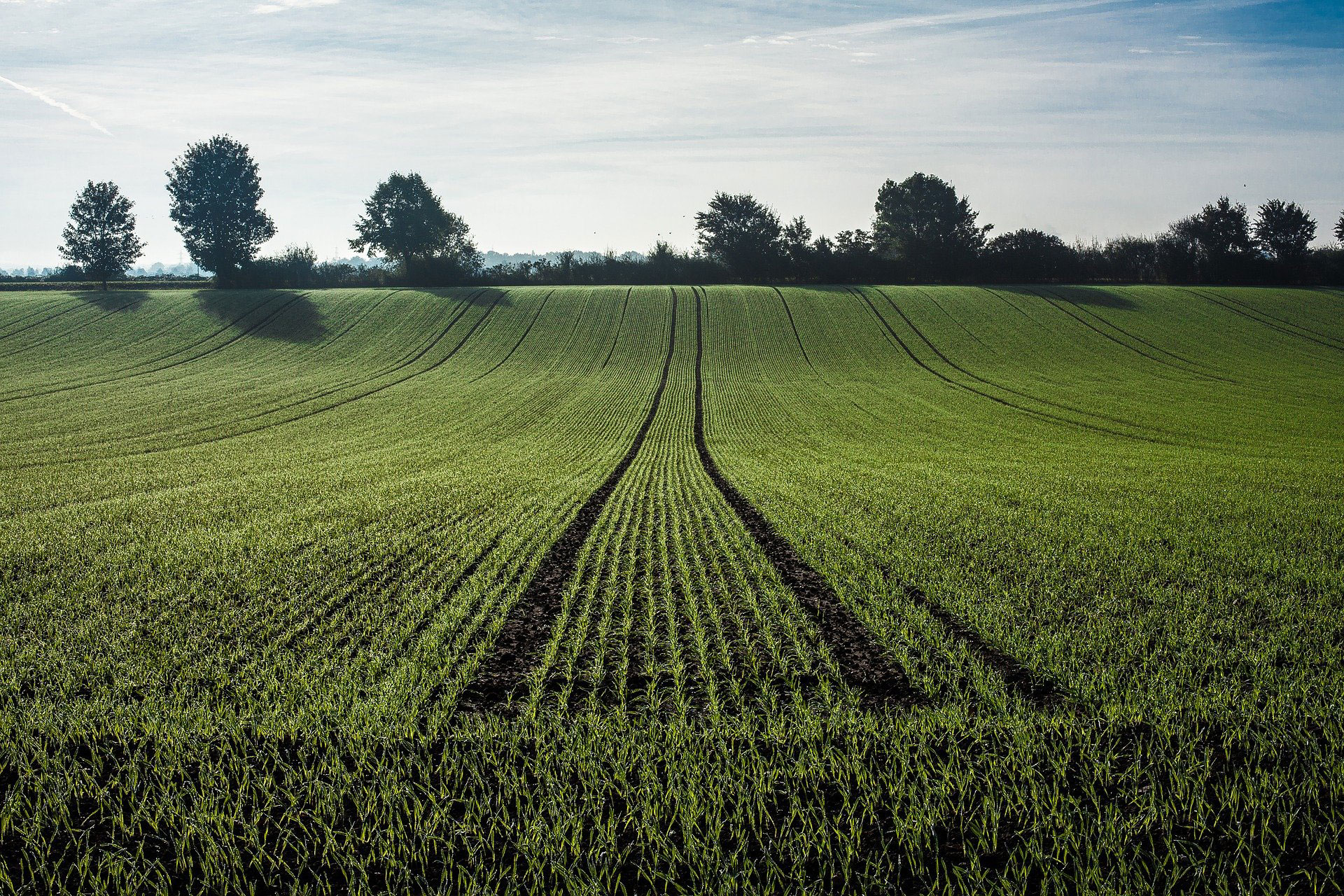 Paid Guest Posting on a Agriculture Blog